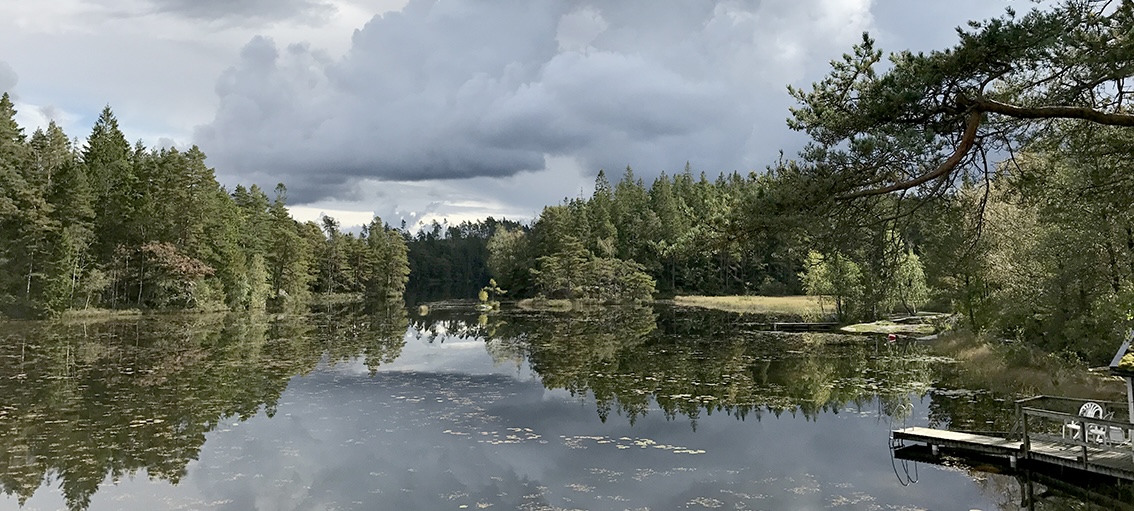 Gårdsjön